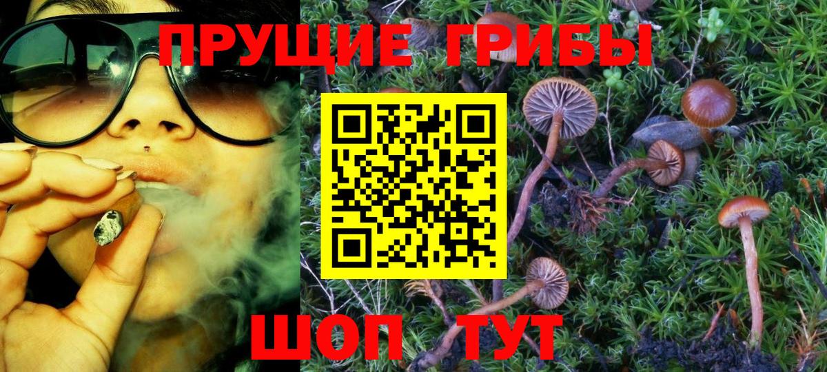 Псилоцибиновые грибы Magic Shrooms  Вход с VPN  Нягань 